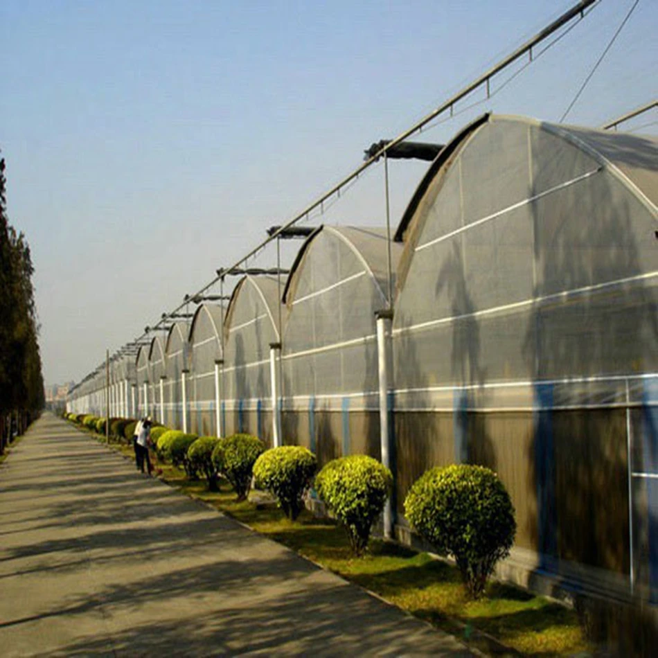steel frames plastic greenhouse aeroponics system for mushroom seeding