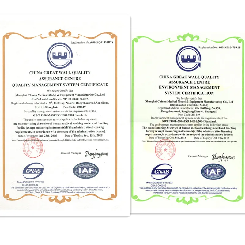  BIX-A1010 Анатомия человека Скелет для взрослых модели черепа медицинской подготовки