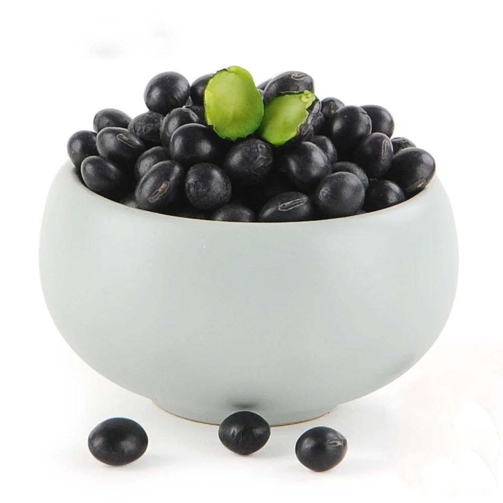 2016 новый урожай высокого качества черной фасоли зеленый