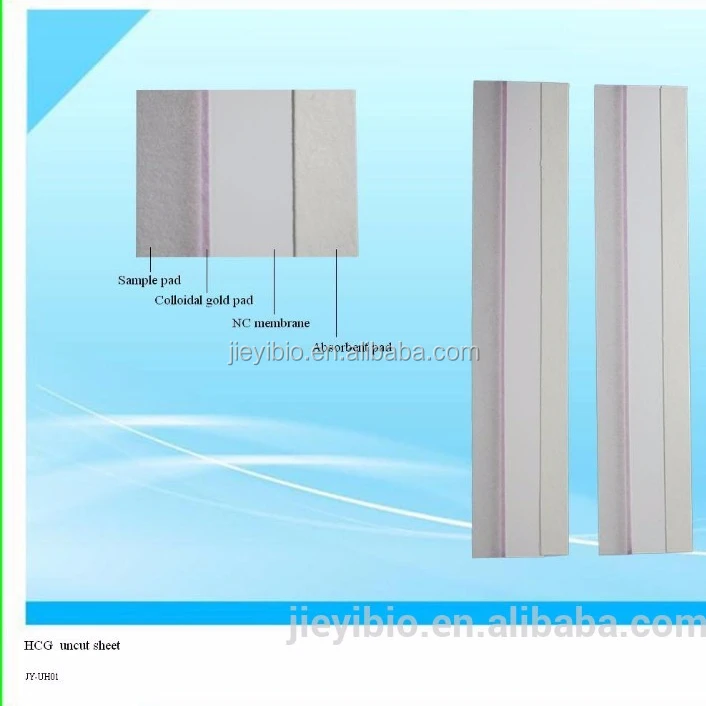 
 HCG h.pylori полоски, необработанный лист для комплектов для быстрого теста на беременность  