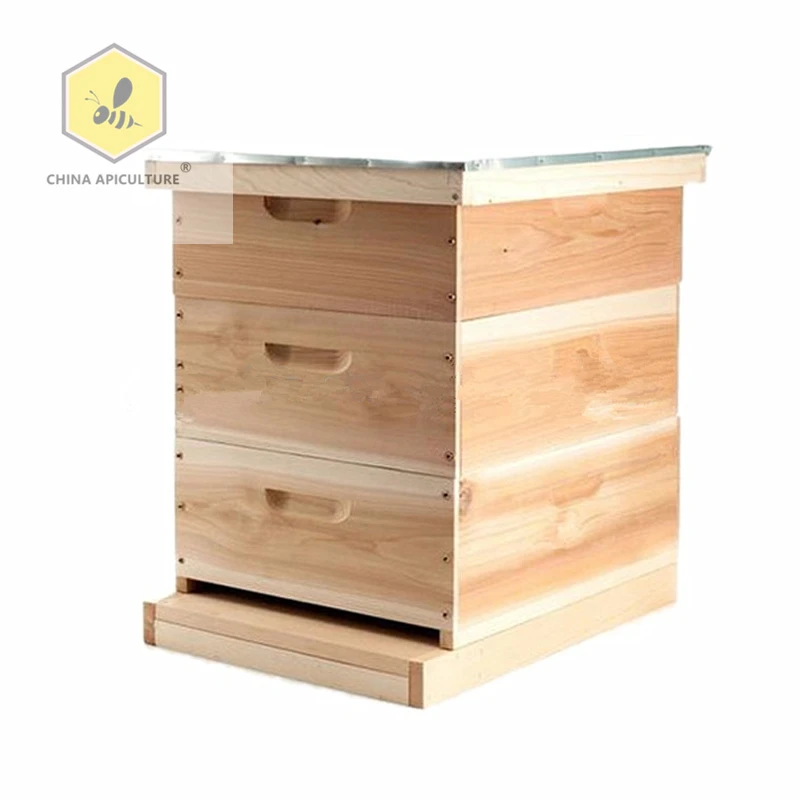 New products apiculture equipment beehive langstroth bee hives for apicoltura