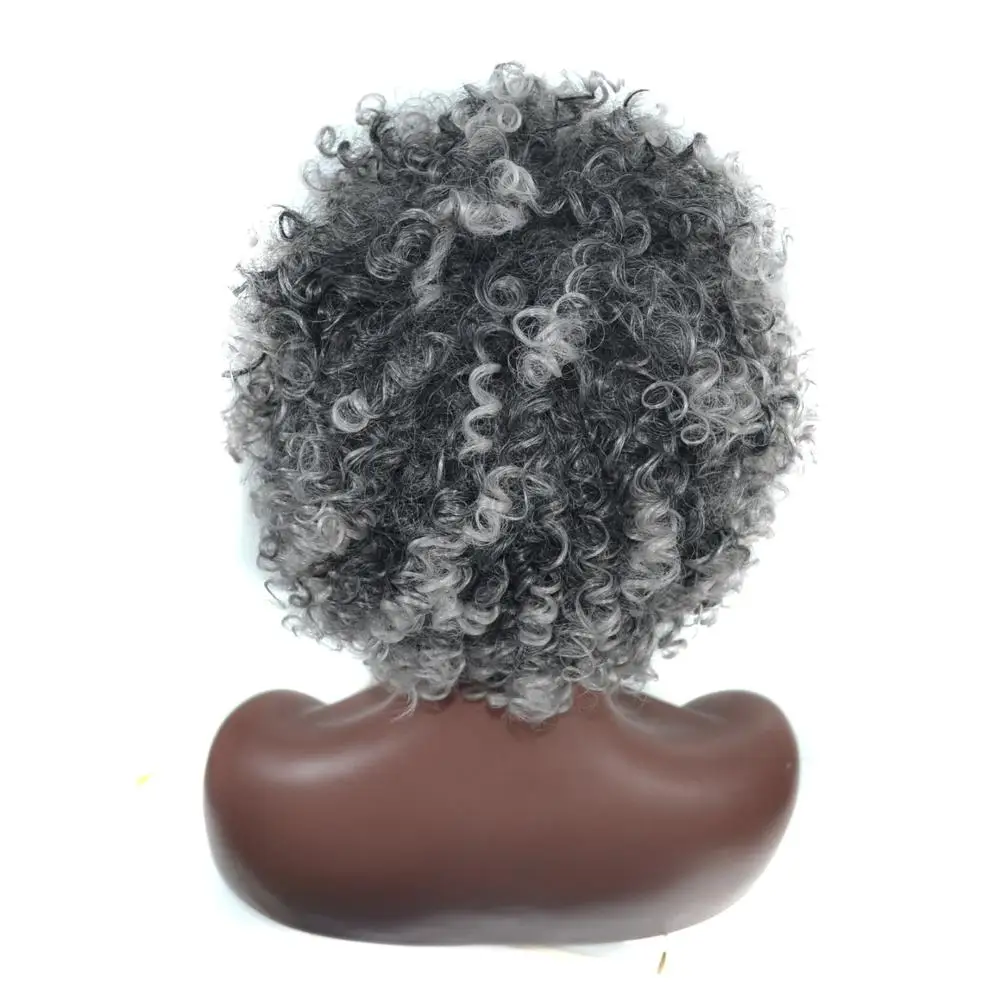 AliLeader Curly Grey Hair New Wigs Synthetic Hair Kinky Curly Wig For Black Women