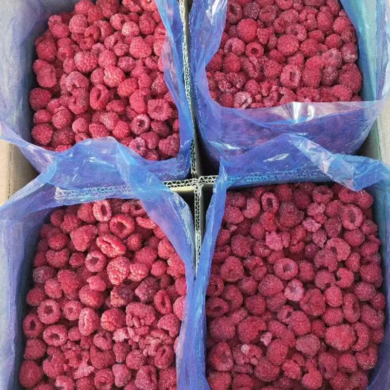 Wholesale Natural Fruit Products Freeze Dried Chinese Raspberry In Bulk