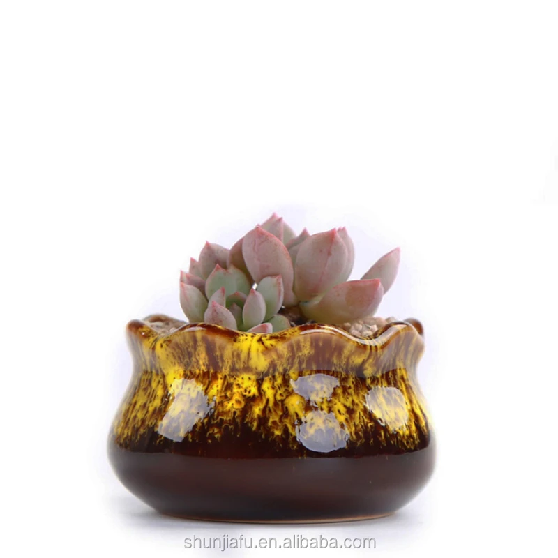 Small Ceramic Fancy Shaped Pots Succulent Plants Flowerpot