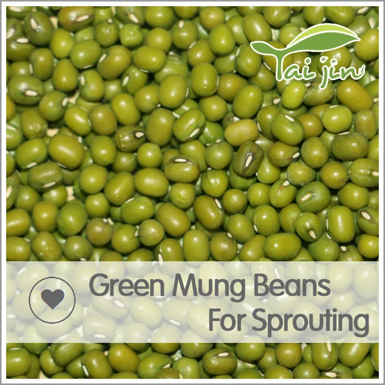 
2017 New Crop Common Cultivation Sprouting Green Mung Beans 