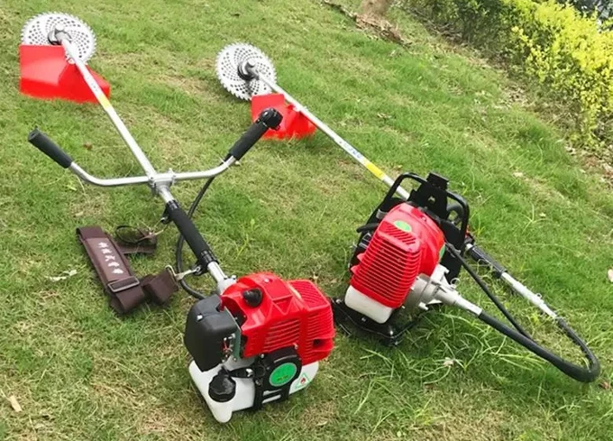 two model 