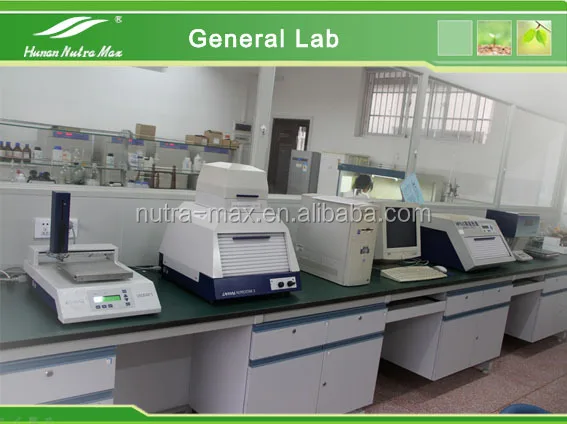  Натуральный порошок экстракта листьев зефира