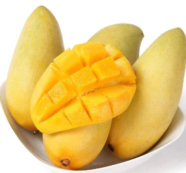 mango pure processing machine production line/pulp extractor machine