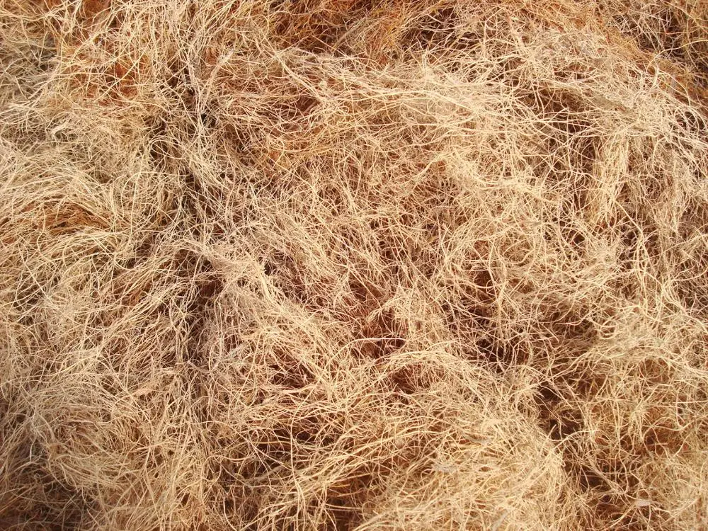 
China supplier High efficiency and quality Soild Fuel palm EFB Shredder/ EFB Fiber Shredding Machine 