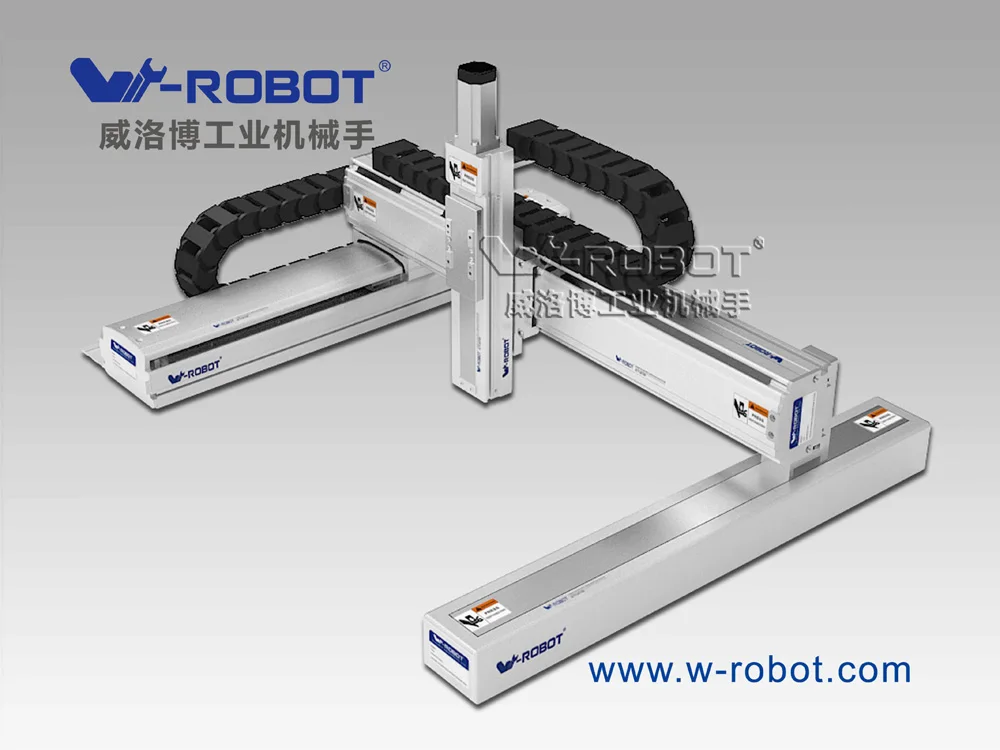 W-robot industrial automatic cartesian robots