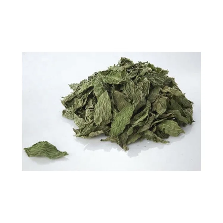 Wholesale Molokhia Leaves  Natural Egyptian Molokhia Leaves 100% Pure Organic Premium Grade Molokhia Herbs