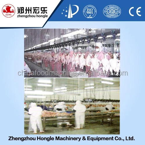 200 chicken per hour chicken slaughter machine price chicken processing equipment
