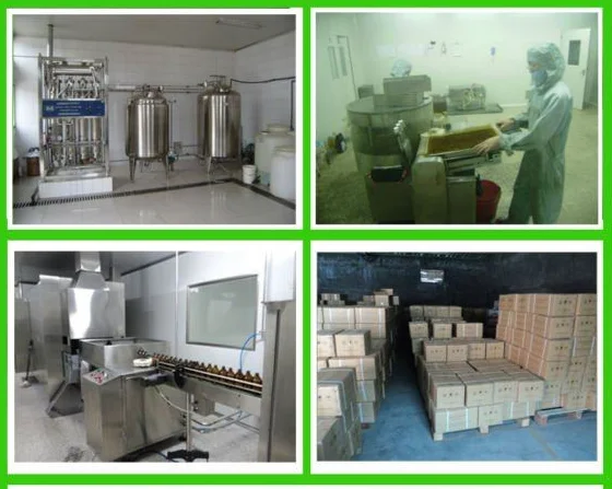 
antibiotic medicine florfenicol injection 30% for veterinary use 