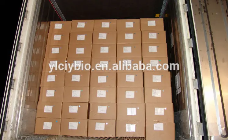 Фабричная поставка 100% натуральный высококачественный коровяк/verbascum thapsus L Extract5:1 10:1 20:1