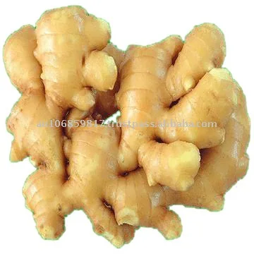 Adrak (Ginger)