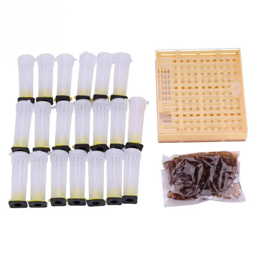 Queen Bee Rearing System For Beekeeping Plastic Cage Tools Apiculture Equipment