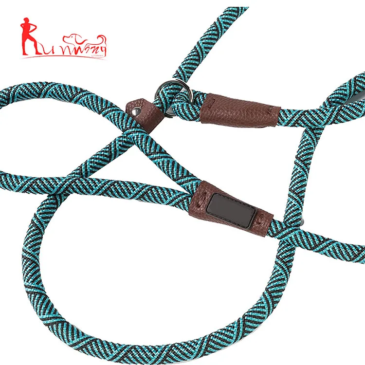 Adjustable mountain climbing loop slip lead for medium dogs, braided lead