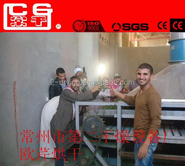 Continous Seaweed Processing Machine Equipment