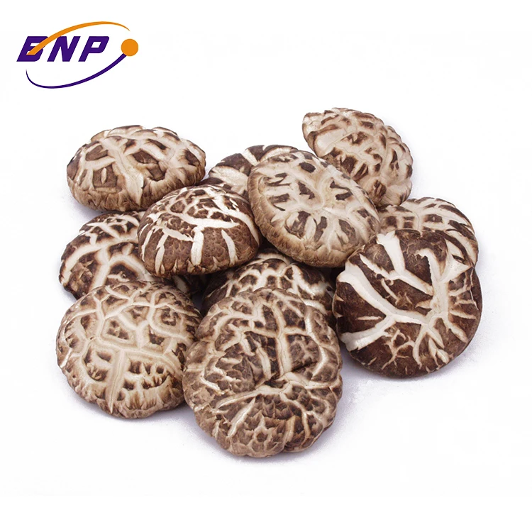 Maitake/Reishi/Shitake порошок экстракта грибов