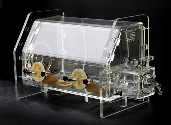Lab Testing Cheap Price Transparent Vacuum Acrylic Glove Box With Two Gloves