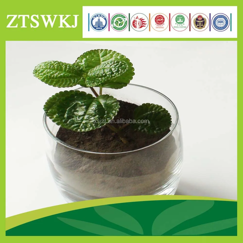 
biological organic water soluble nitrogen fixed power Azotobacter Chroococcum Spp 