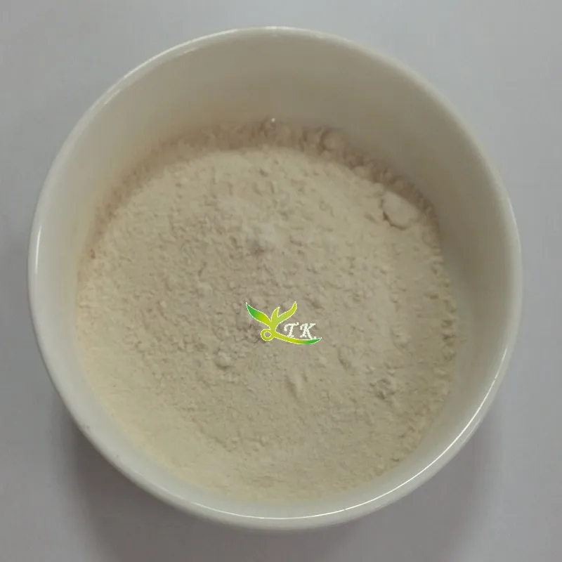 
Natural India raw material 60% HCA garcinia cambogia extract powder 