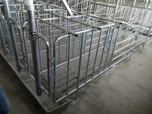 Pig farm equipment pig gestation crates for sows