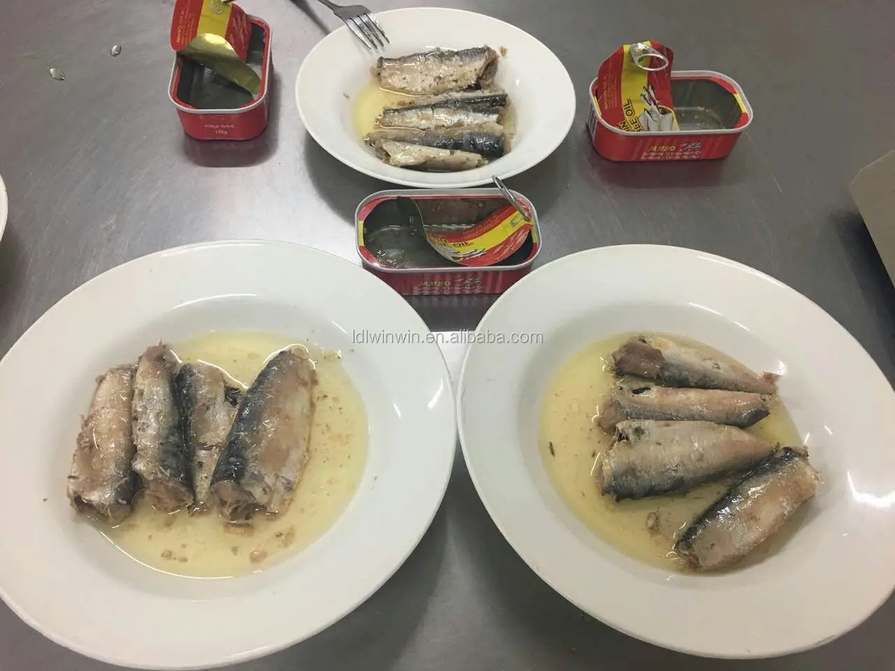 canned sardine in vegetable oil from morocco