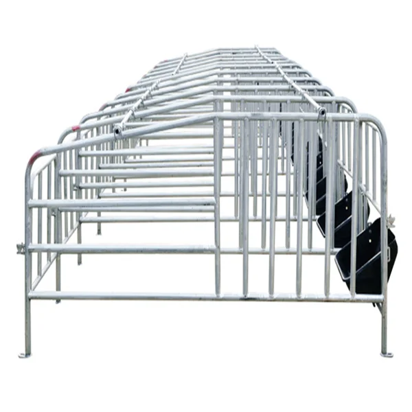 Factory Pig Farming Equipment Pig Pen Sow Gestation Crate For Sale