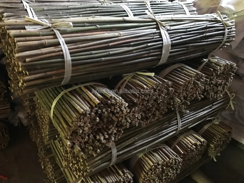 FD- tonkin bamboo canes natural bamboo stake Many specifications of small bamboo