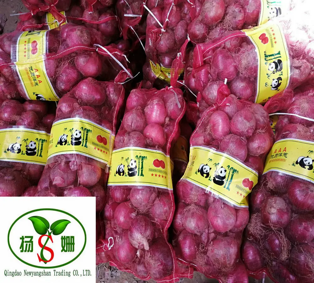
HOT--CHINA New crop red onion bags and cartons fresh onion hot sale 