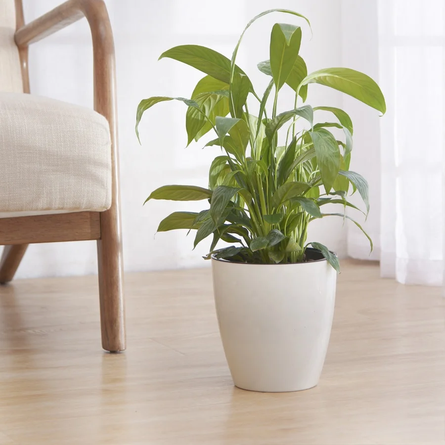 Пластиковый горшок для самополива цветов