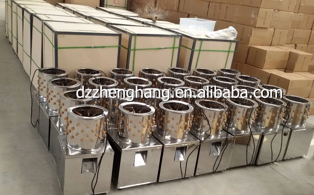 factory directly price ZH-30quail plucker machine,poultry plucker equipment,chicken plucker (lydia: +8615965977837)