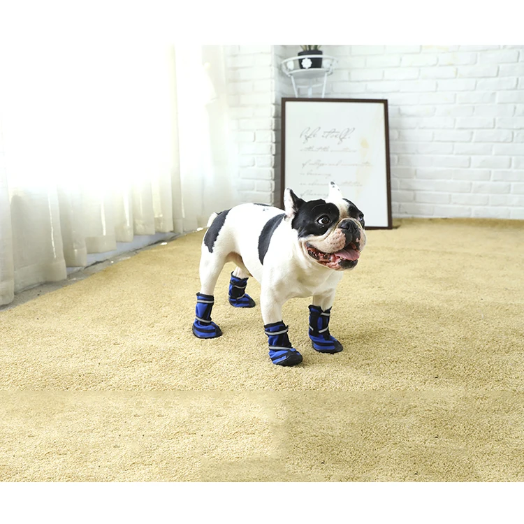 Оптовая продажа классный дизайн противоскользящие удобные синий собака обувь