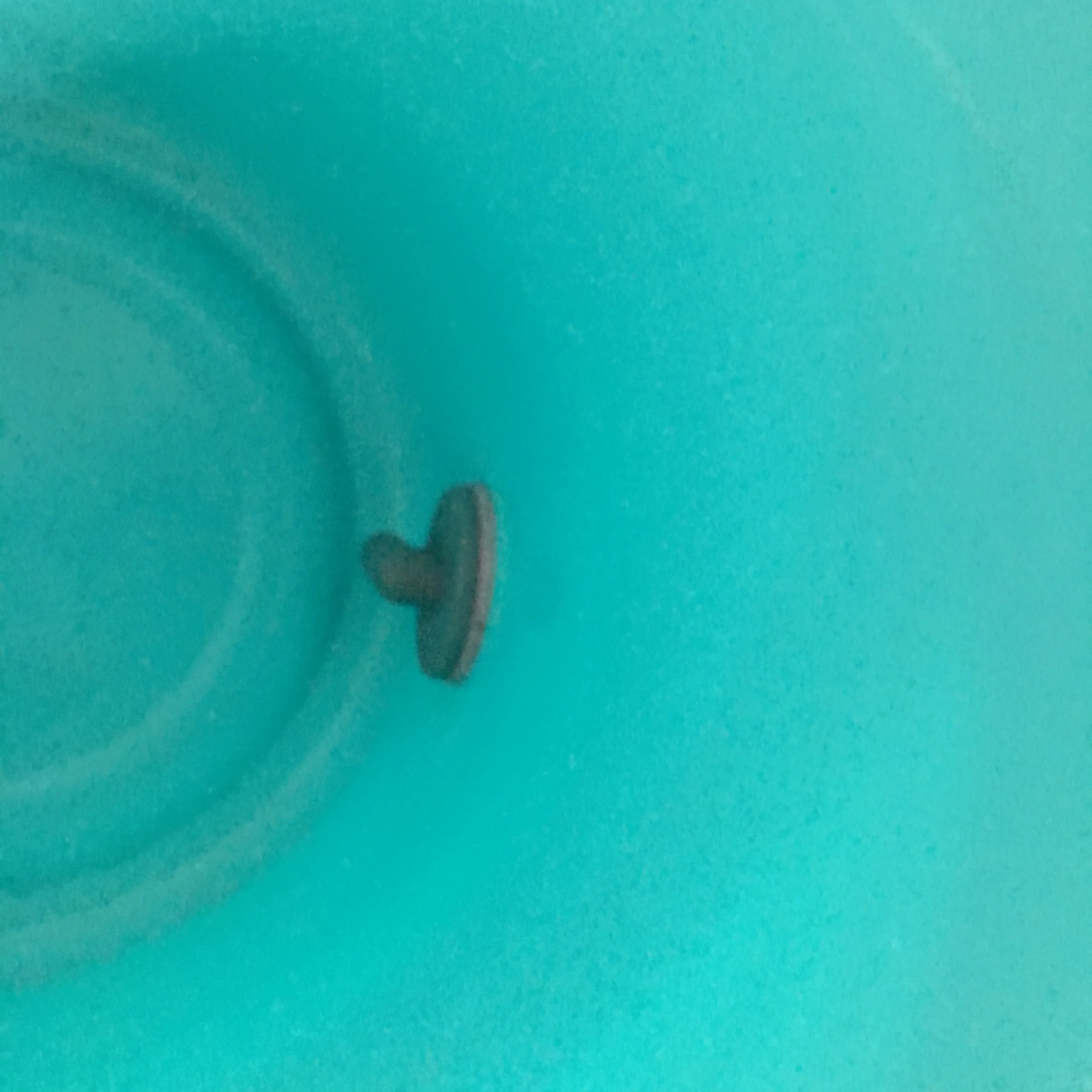 12 L Calf Feeding Milk Bucket with 4 Feeding Nipples