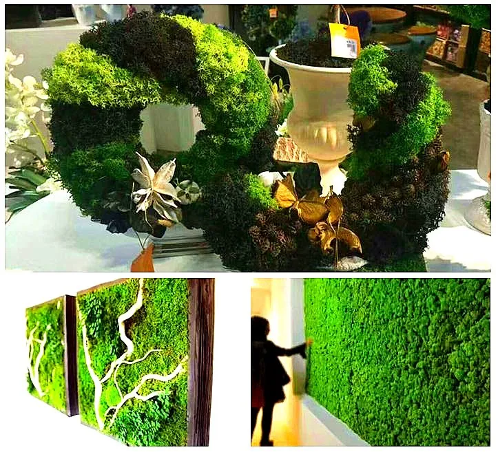 
Wholesale 500g high quality decor preserved moss 