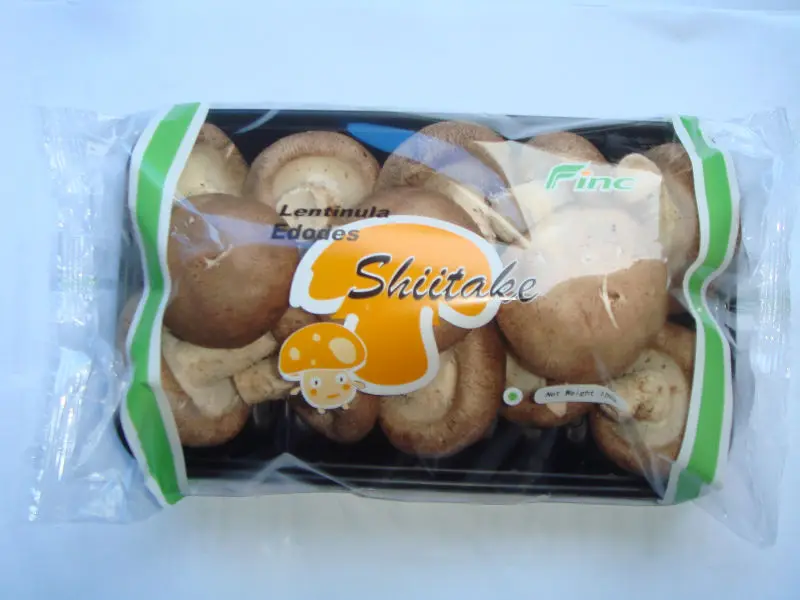 Shanghai Finc fresh shiitake mushroom high quantity