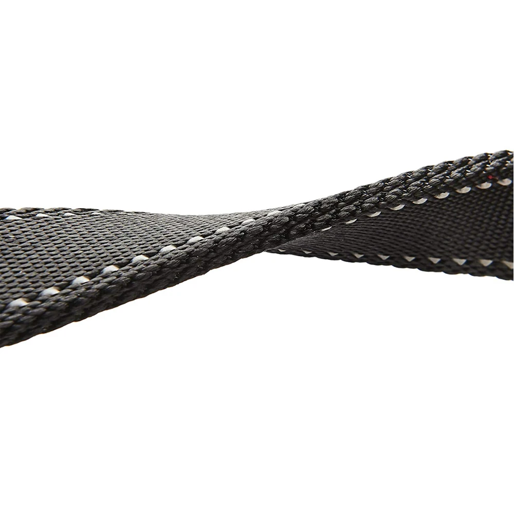 Wholesale OEM Double Handle Nylon Webbing Dog Leash Pet Lead Leash Heavy Duty Metal Clip