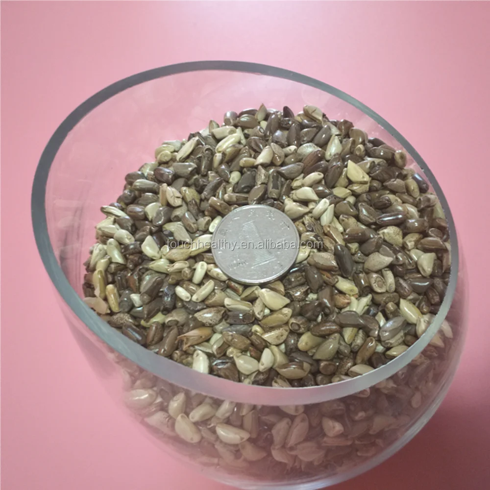 2021 Touchhealthy supply Perennial Hybrid Mexico corn grass seeds Forage Grass Seed  1kg/bags