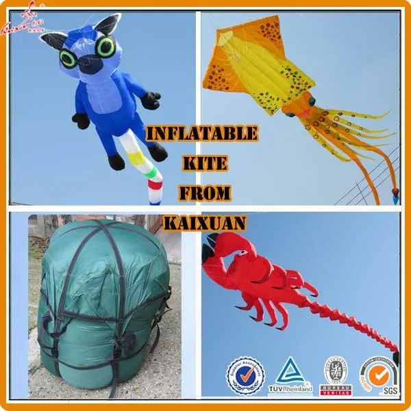 3D Large Inflatable kite from professional kite factory