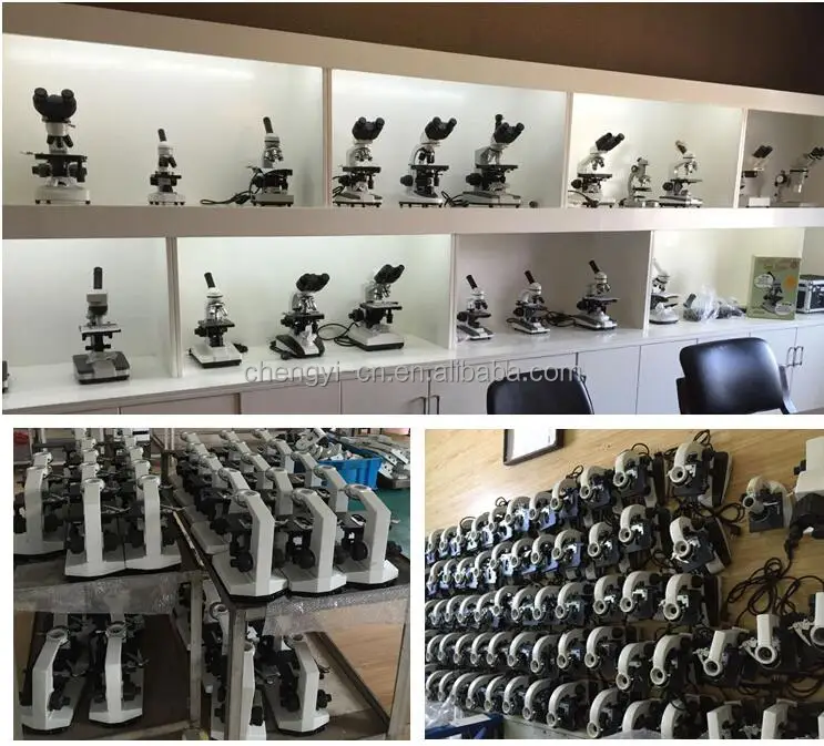 XSP-104V Biological microscope Electron microscope price