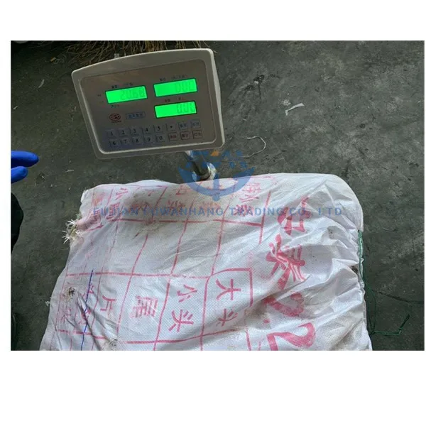 
Frozen squid neck meat 