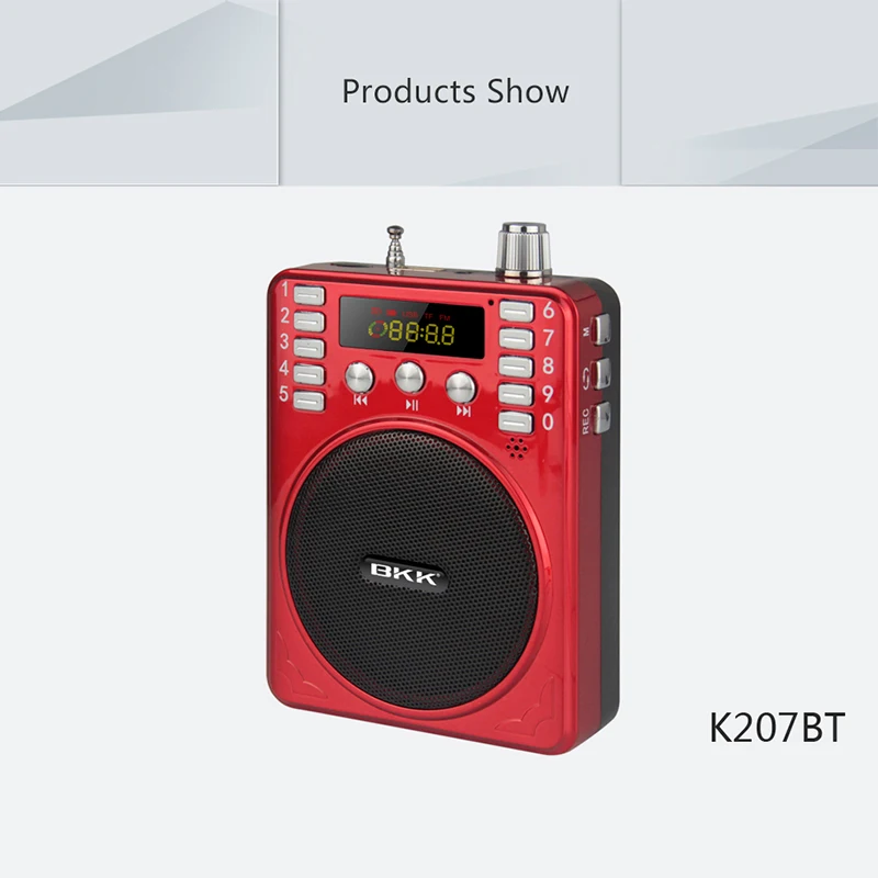 Wireless Mini Amplification Portable Voice Amplifier with TF Card (K207BT)