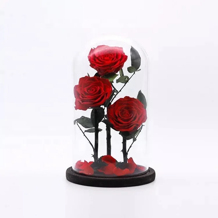 
wholesale real touch preserved flower fresh Preserved roses in glass dome tubes 