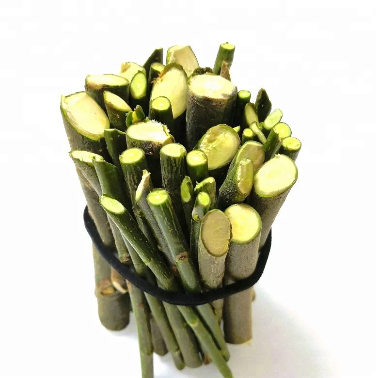 dry and water resistant willow stick plants for timber