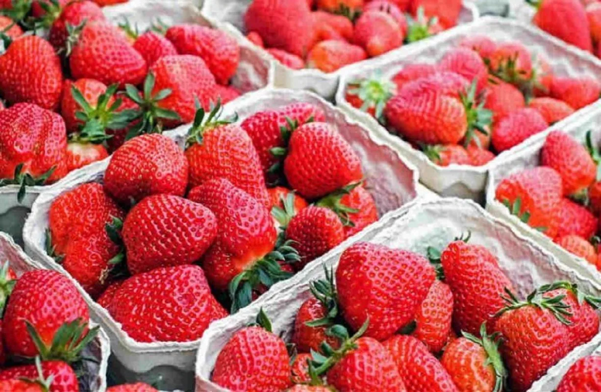 
Fresh Strawberry 