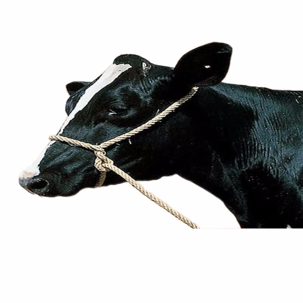 Utility Headcollar For Cattle/ horse halter