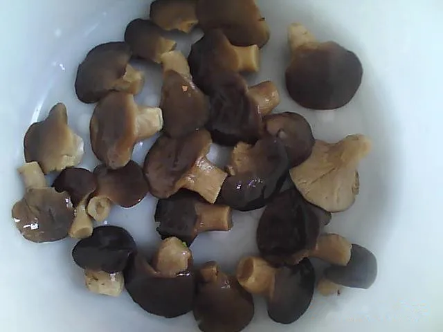 
canned abolane mushroom in vacuum bags 