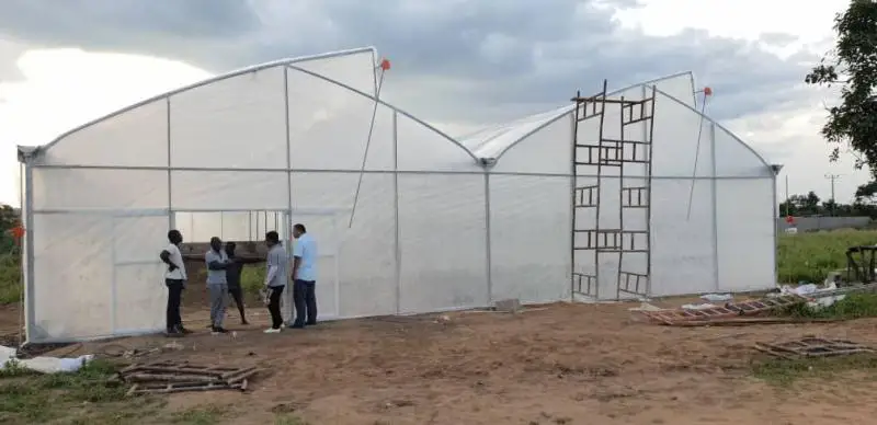 Sawtooth Roof Vent Greenhouse Reinforced Plastic Greenhouse for Nursery