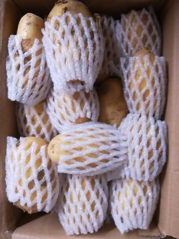 
Import china potato new crop 